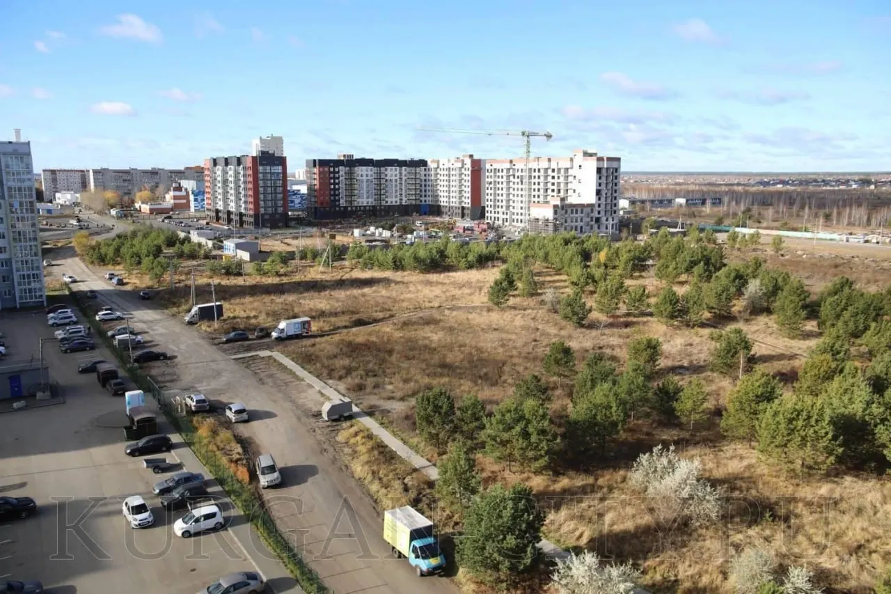 На участке в 12-м микрорайоне вдоль улицы Алексеева планируют обустройство парка с сохранением сосновой рощи; сейчас проводят подготовку территории.