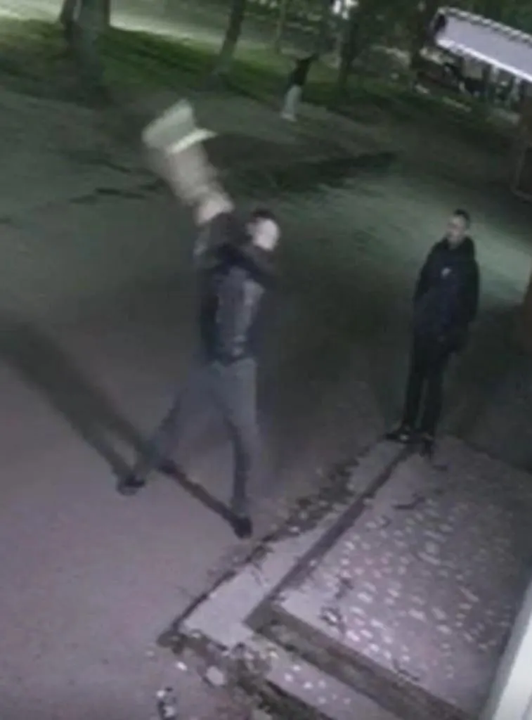 В Ярославле возбуждено уголовное дело по факту гибели кошки возле общежития на проспекте Ленина, 14; позже стало известно, что дело не дошло до суда, подозреваемый ушёл в СВО.