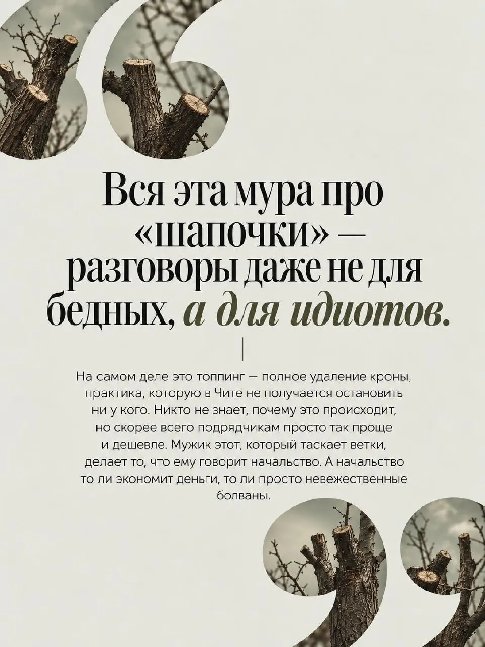 Новые кронирования тополей в Чите вызывают волну критики: деревья утрачивают защитные функции, а отрастающие ветви часто ломаются; обсуждается необходимость пересмотра подхода к озеленению города.