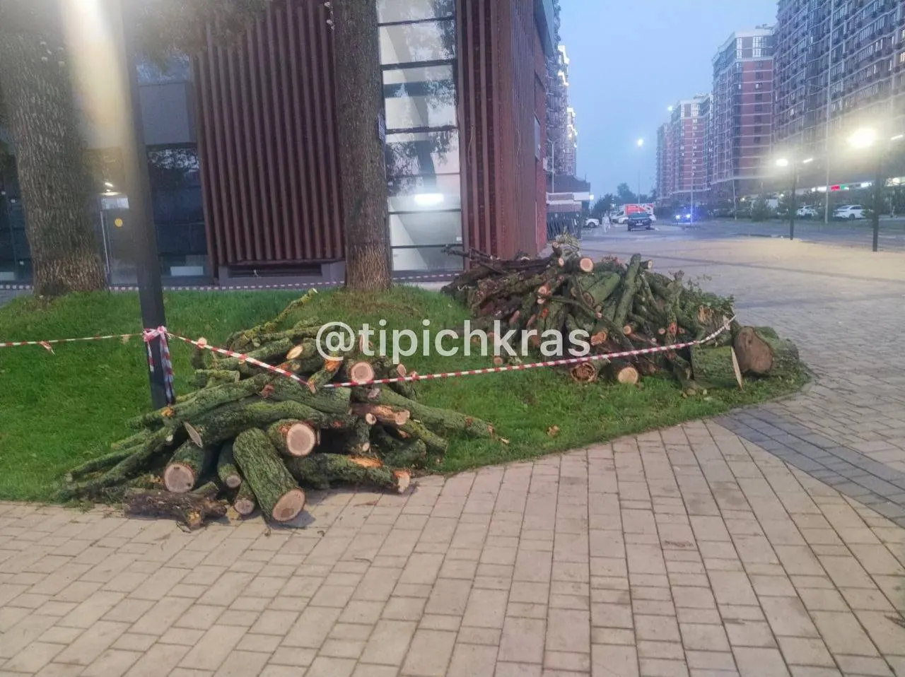 Жители района просят прекратить массовую вырубку вековых дубов возле жилого комплекса и обратить внимание на экологическую ситуацию в Прикубанском округе.
