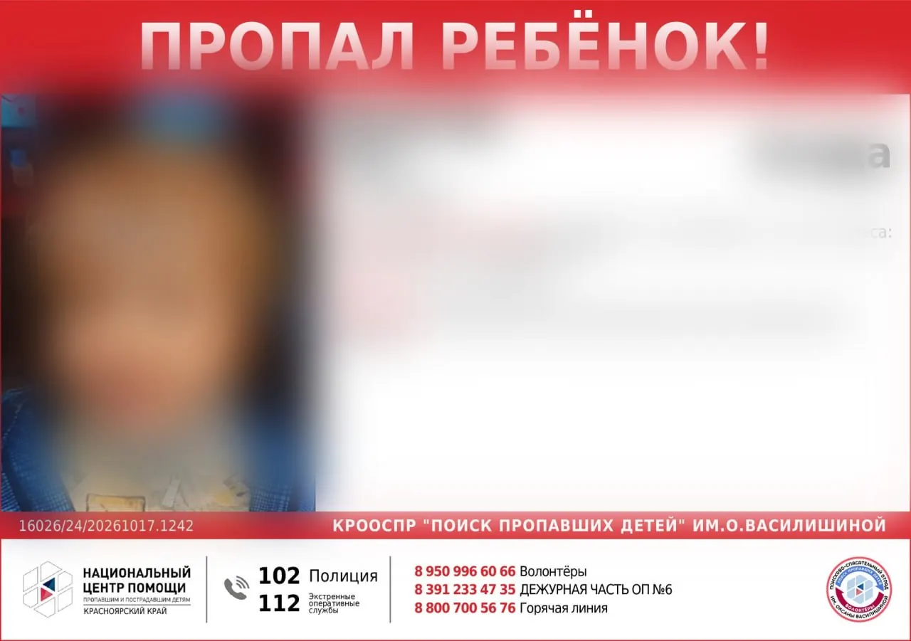 Два брата, 10 и 4 года, исчезли утром 17 октября после визита в магазин на улице Свердловская; поиски ведутся полицией и волонтёрами.