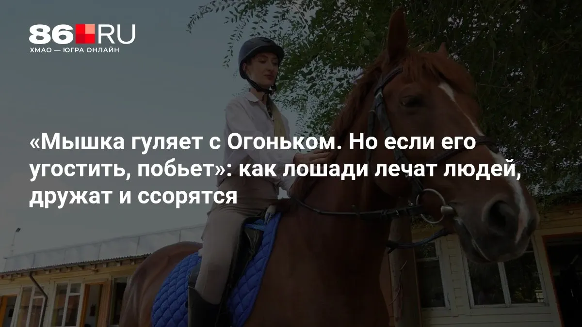 Очаровательный рассказ о хвостатых терапевтах и жизни на ипподроме, где дружба с животными становится центром внимания.