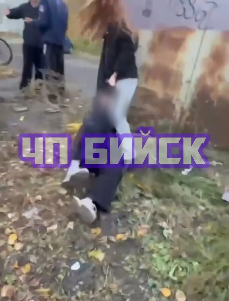 Правоохранительные органы изучают публикации в соцсетях о травле и возможном избиении несовершеннолетней в Бийске; ситуация вызывает обеспокоенность у родителей и местных жителей.