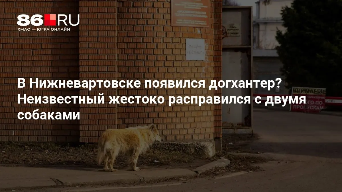 Неизвестный подозревается в жестоком обращении с двумя животными. Полиция начала проверку обстоятельств.