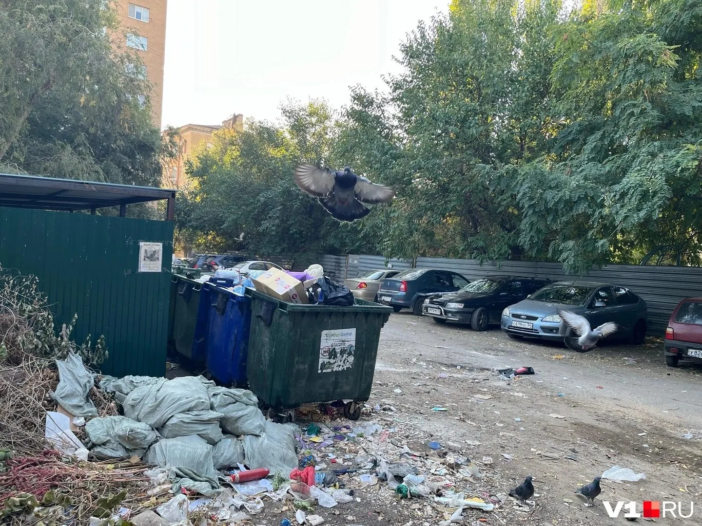 Контейнерная площадка возле Дома малютки превратилась в мусорную свалку: мусор, старые предметы и покрышки требуют вмешательства властей.