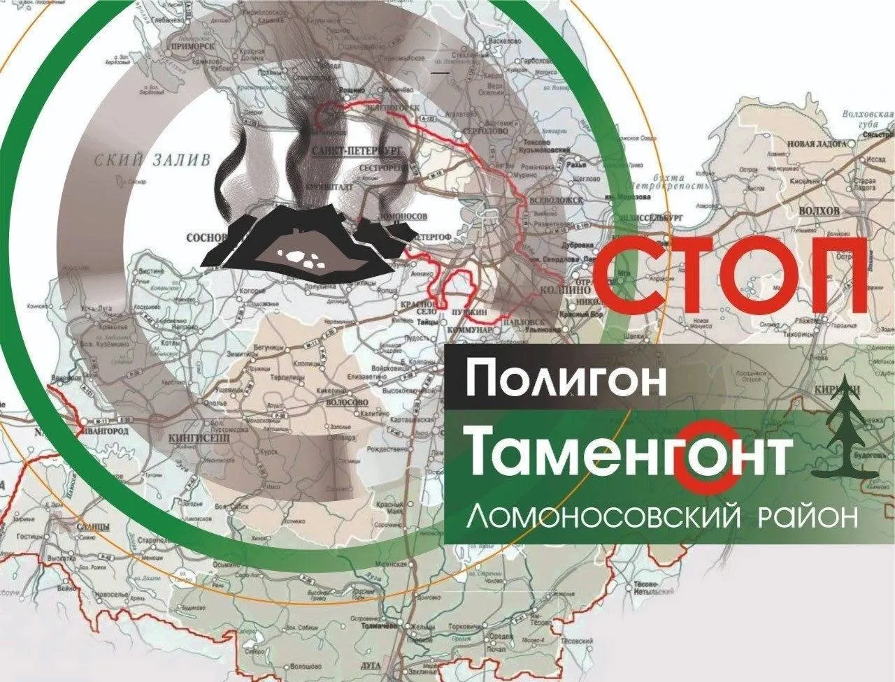 Расследование выявило признаки возможной регистрации земли под полигон, запрета на вырубку до решения о статусе земли и активное сопротивление жителей и экологических движений.