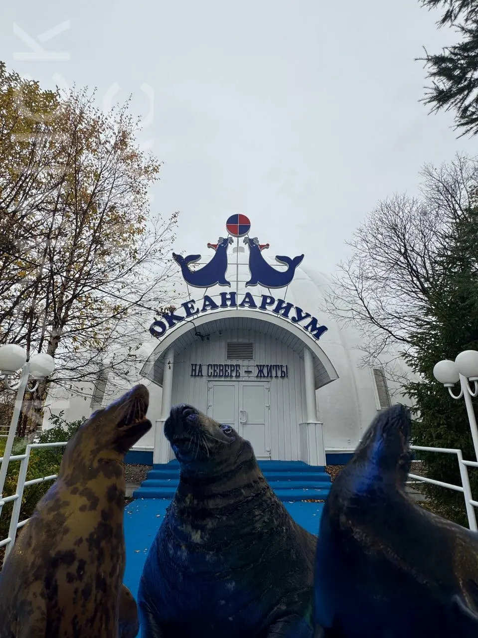 4 октября в Мурманске отмечают сразу два юбилея: город-герой — 110 лет, а купол океанариума — 30-летие.
