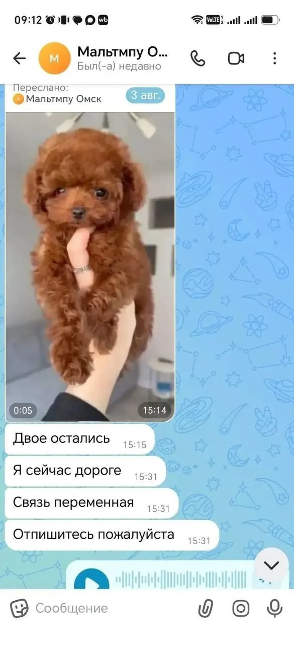 Покупатели заплатили за щенков, но животных не получили. 21-летняя подозреваемая задержана; ущерб оценивается в около 250 тысяч рублей.