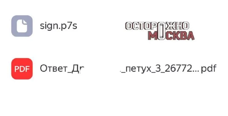 Жалоба на задержку восстановления паспорта получила официальный ответ: в названии электронного документа упоминалась фамилия заявителя и слово «петух».