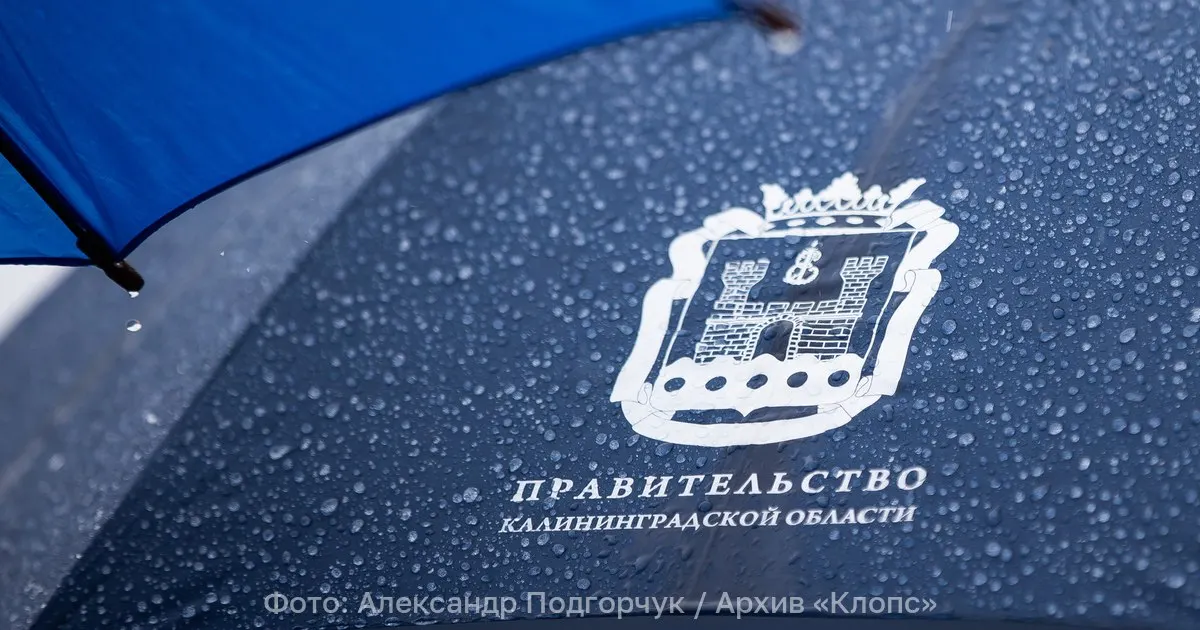 В Telegram-каналах распространили поддельный указ о введении режима цифровой готовности; информацию опровергли в региональном правительстве.