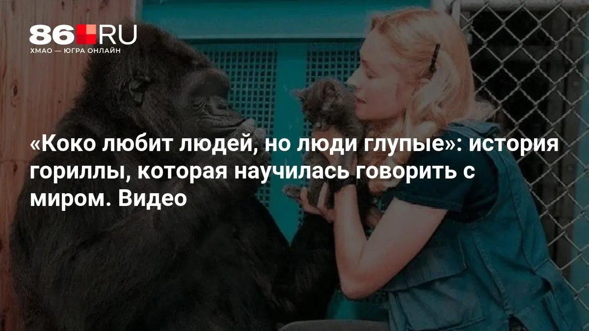 Примат пережил немало потерь и теперь делится тем, о чем думают и что чувствуют животные, показывая новый взгляд на мир природы