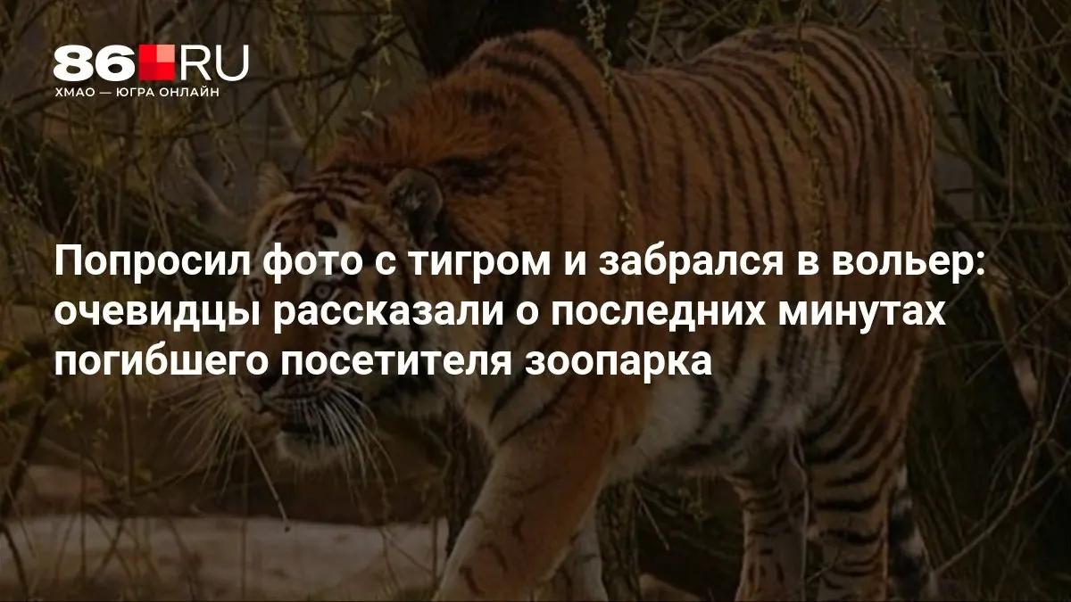 Очевидцы сообщают, что мужчина подошёл к клетке тигра и спрыгнул в вольер, что привело к трагедии.