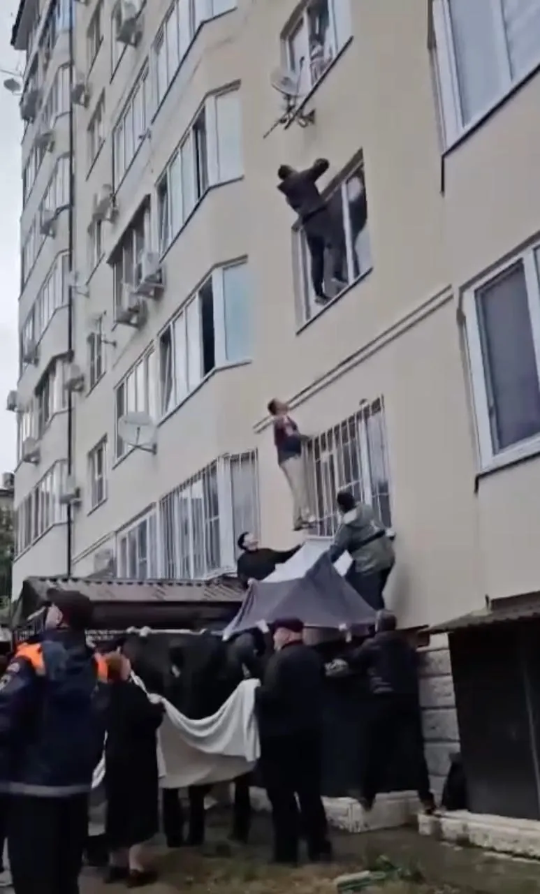 Сводка локальных новостей: рождение манулов в заповеднике, создание клавиатур для языков, медицинские операции и истории спасения.
