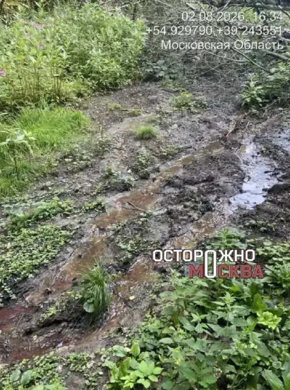 Жители деревни Перевицкий Торжок под Луховицами жалуются на неприятный запах из близлежащего водоема; региональный мониторинг продолжается, результаты анализа пока не опубликованы.