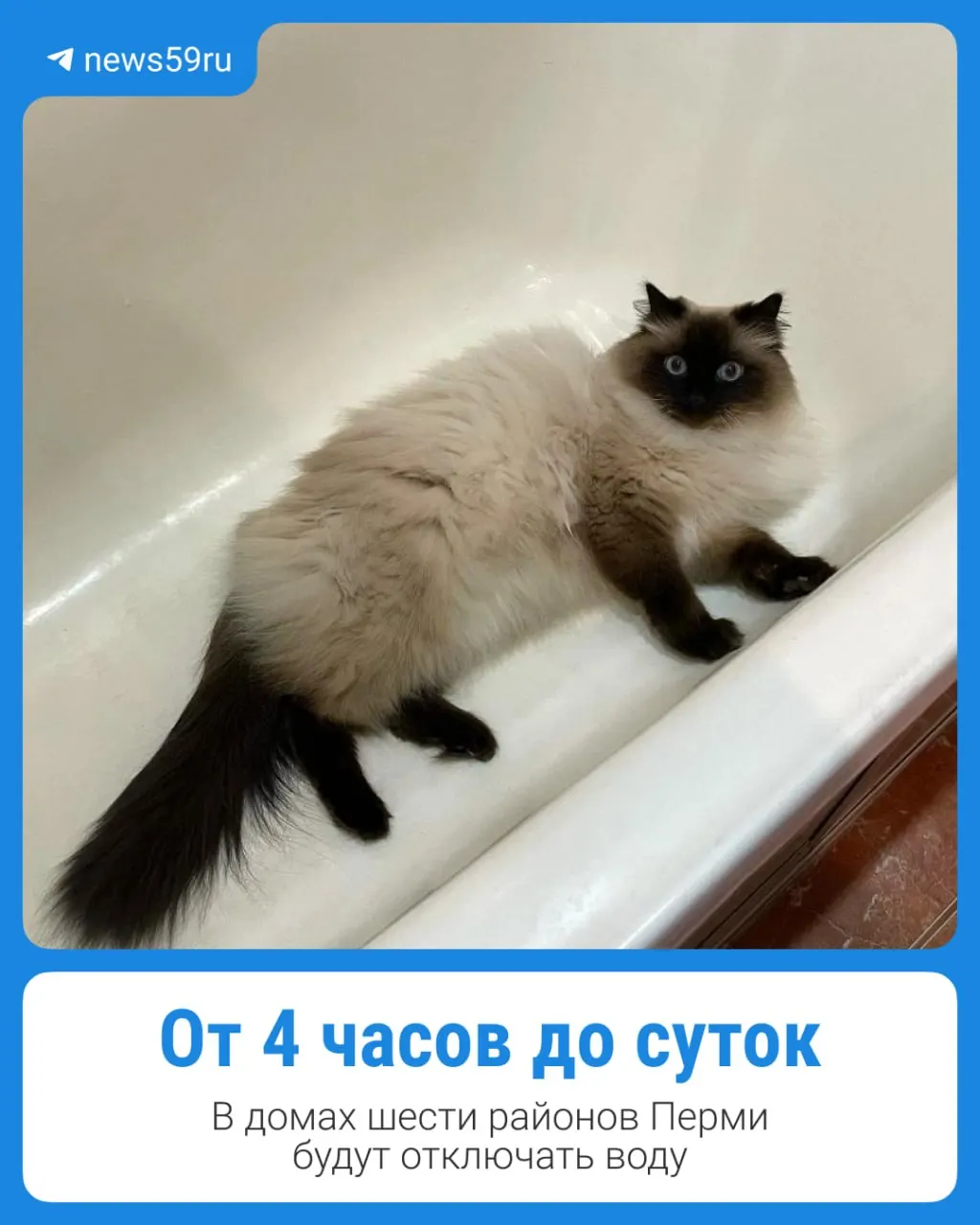 Специалисты проведут плановые ремонты сетей; опубликован график и места отключений.