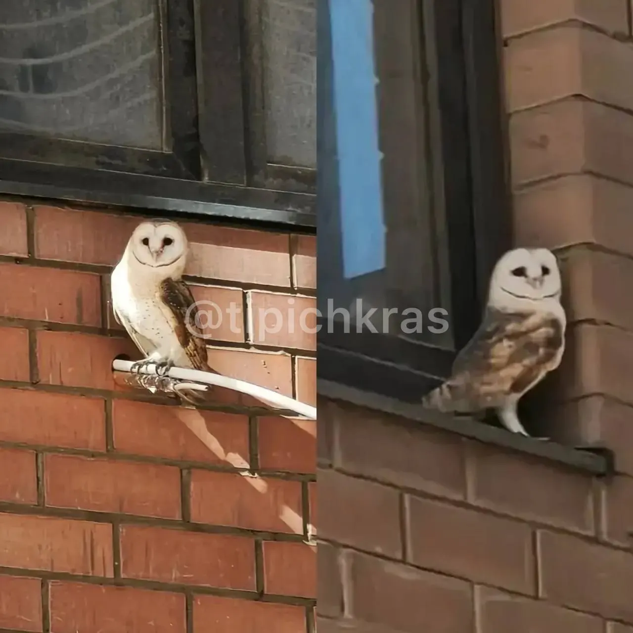 Городские обновления: транспорт, жилье и новые истории квартала Аксиома.