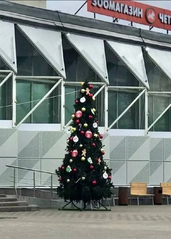 Нижний Новгород и Кстово планируют установить 14 новогодних ёлок; украшения повторно используются прошлогодние.