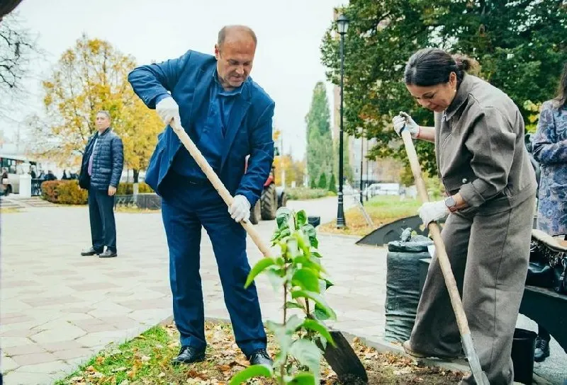 В сквере «Городские ряды» появились новые саженцы, но вопросы к проекту озеленения остаются.