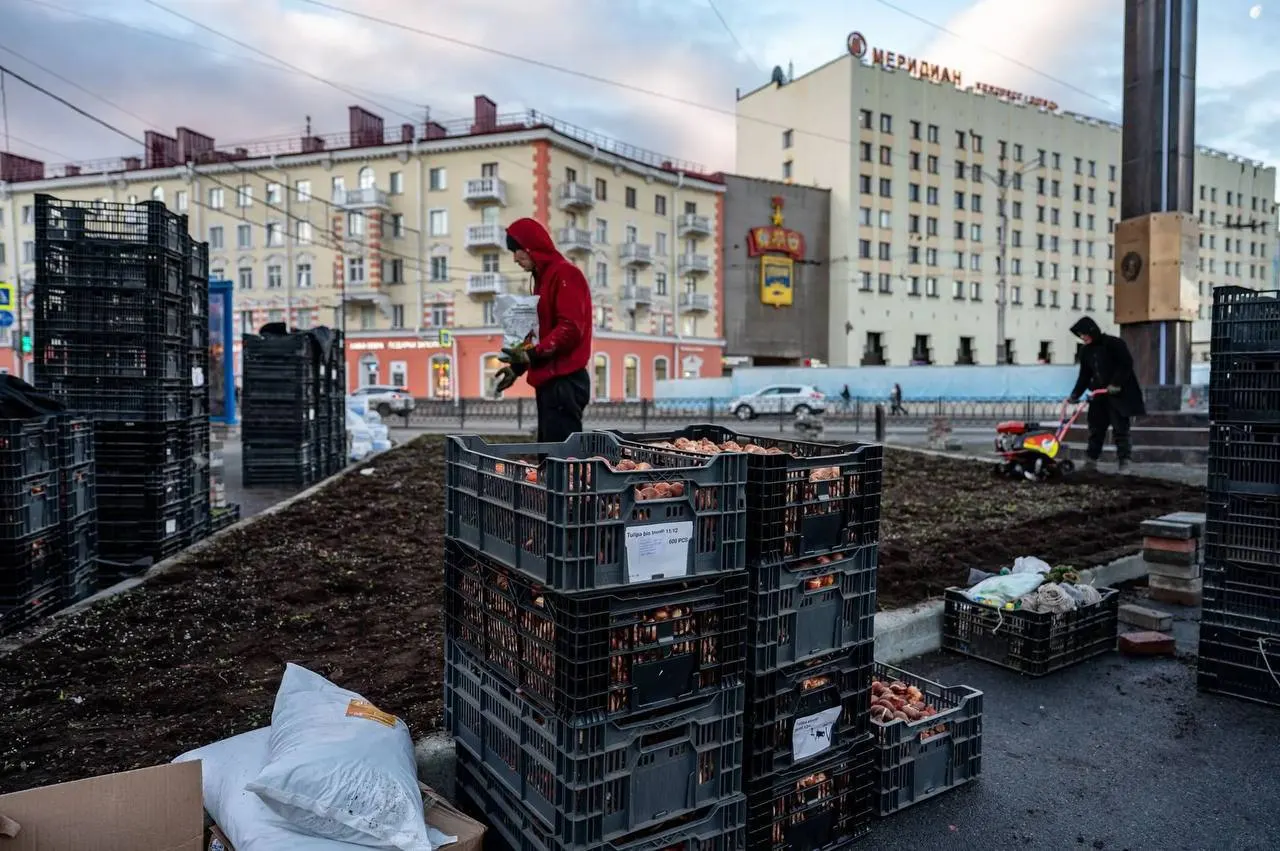 Уличные пространства пополнят луковичные посевы: будут высажены морозостойкие тюльпаны возле управления округа и памятной стелы.