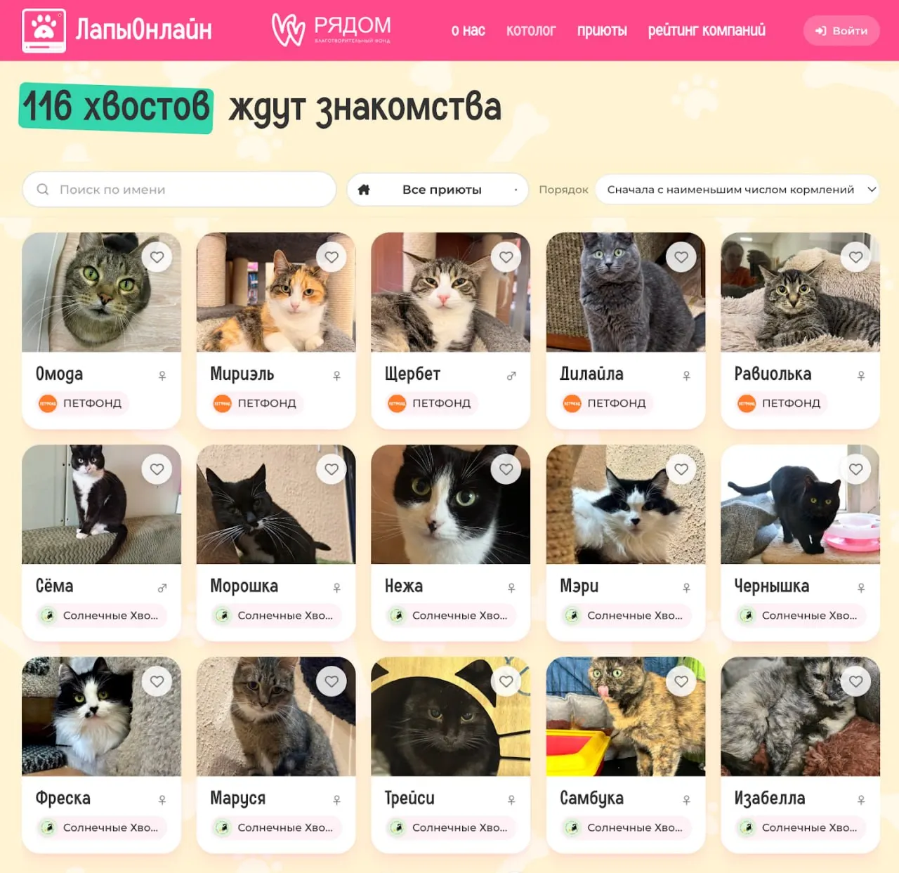 Петербургский фонд «Рядом» запустил онлайн-платформу «ЛапыОнлайн», которая позволяет дистанционно кормить котов из российских приютов через автоматические кормушки и онлайн-трансляцию.