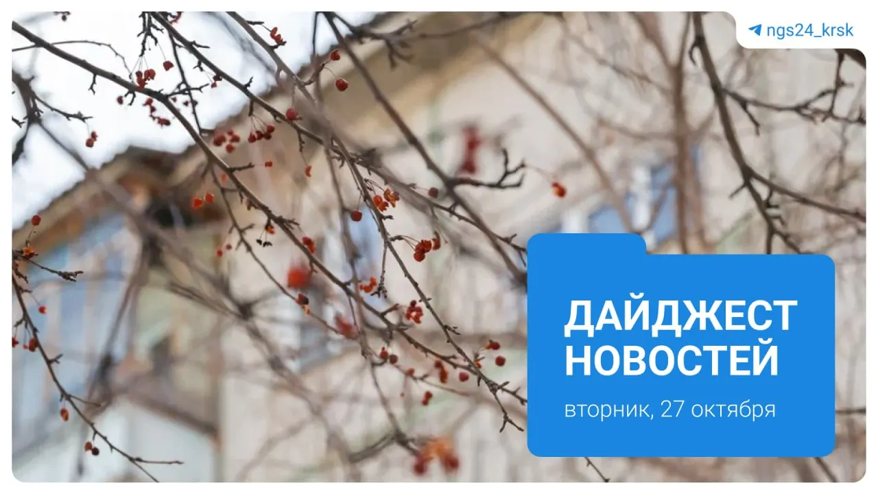 В обзоре дня — благоустройство парка возле моста на Татышеве, поиск пропавшей в Ачинске девушки, передача недостроев в федеральный фонд и другие локальные новости Красноярского края.