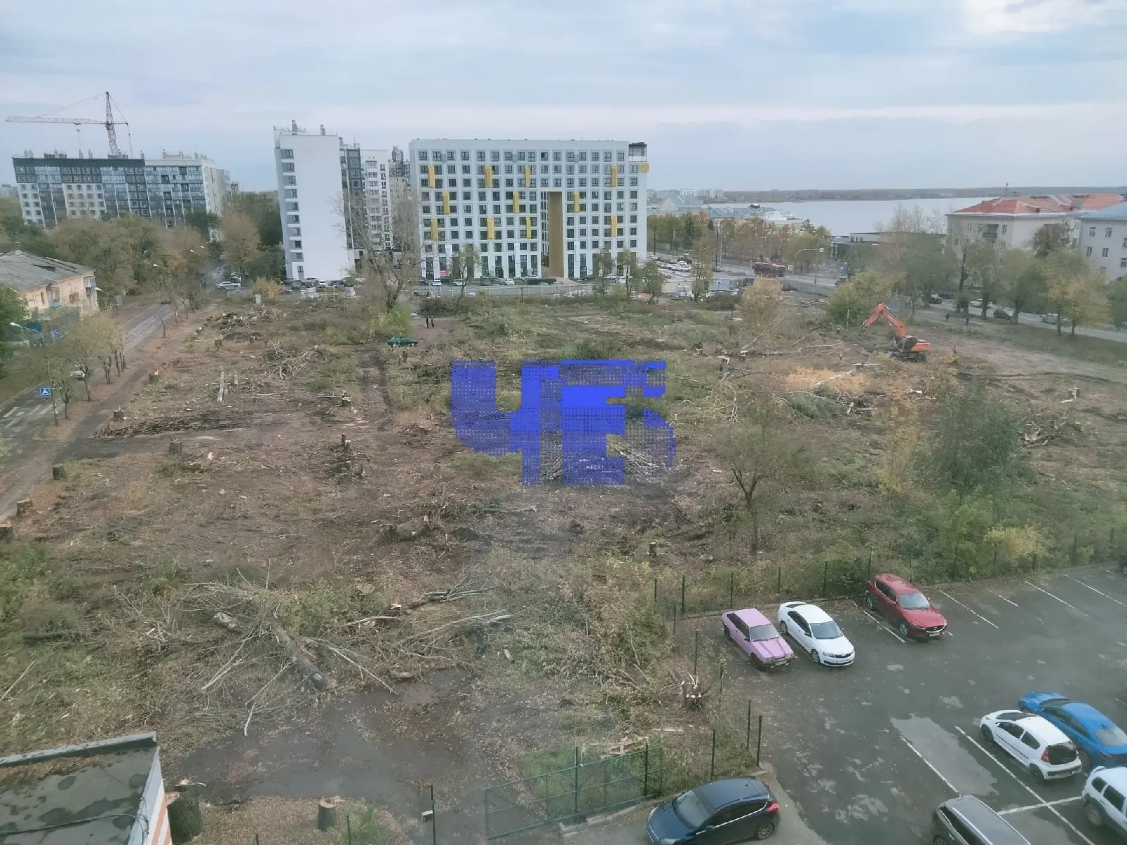 Жители Ленинского района возмущены вырубкой многолетней зелени возле Ереванской улицы и требуют проверки законности работ и участия общественности.
