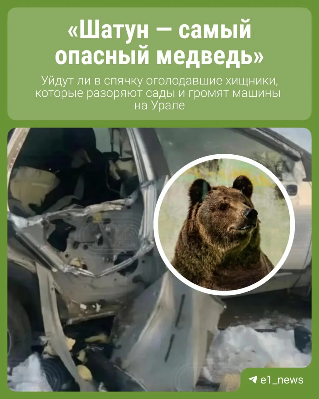 В регионе фиксируются случаи приближений медведей к населённым пунктам; эксперты обсуждают причины и прогноз по развитию ситуации.