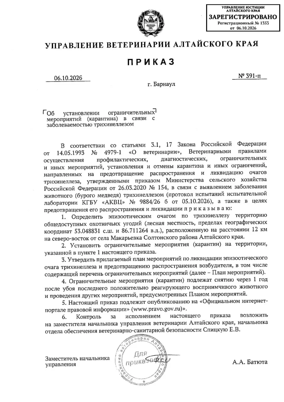 Очаг инфекции выявлен в лесистой местности Алтайского края; введены запреты на охоту и перевозку кормов и продуктов убоя; карантин будет действовать примерно год после устранения последствий инфекции.