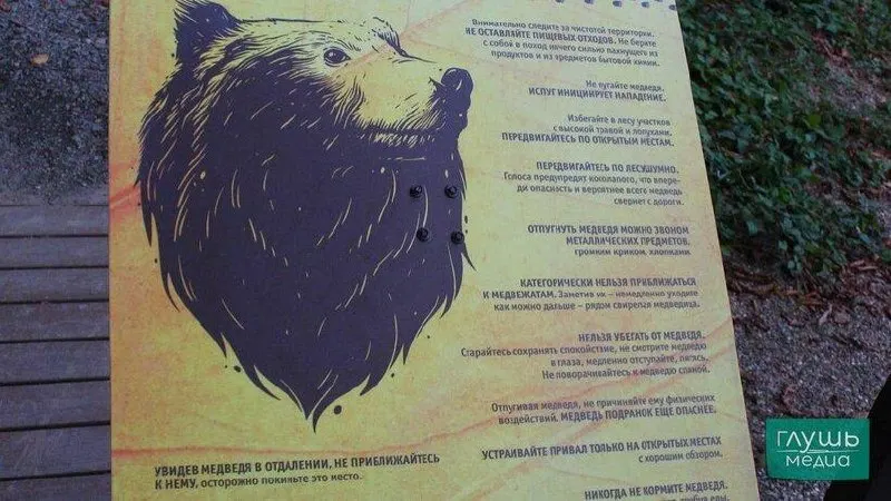Чиновники предупреждают о возможной встрече с дикими животными и просят жителей соблюдать осторожность в лесах.