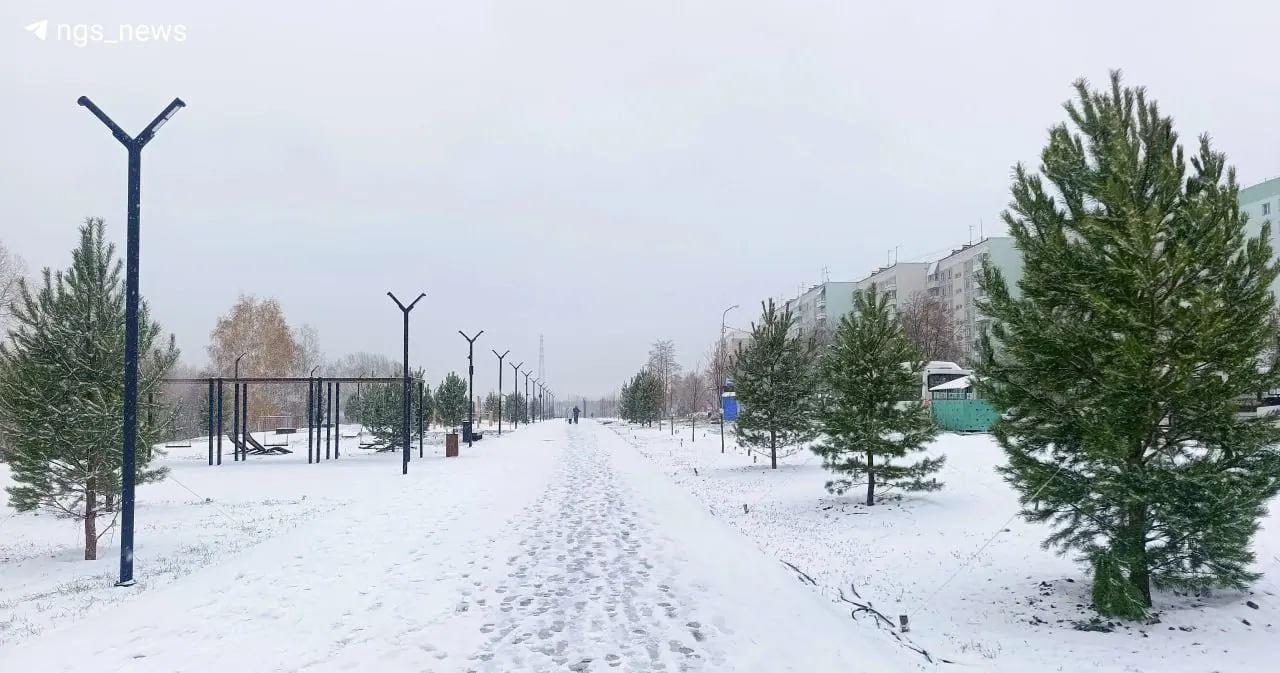 Обновления о парке на Чемском берегу: открытие для горожан осенью после завершения работ.