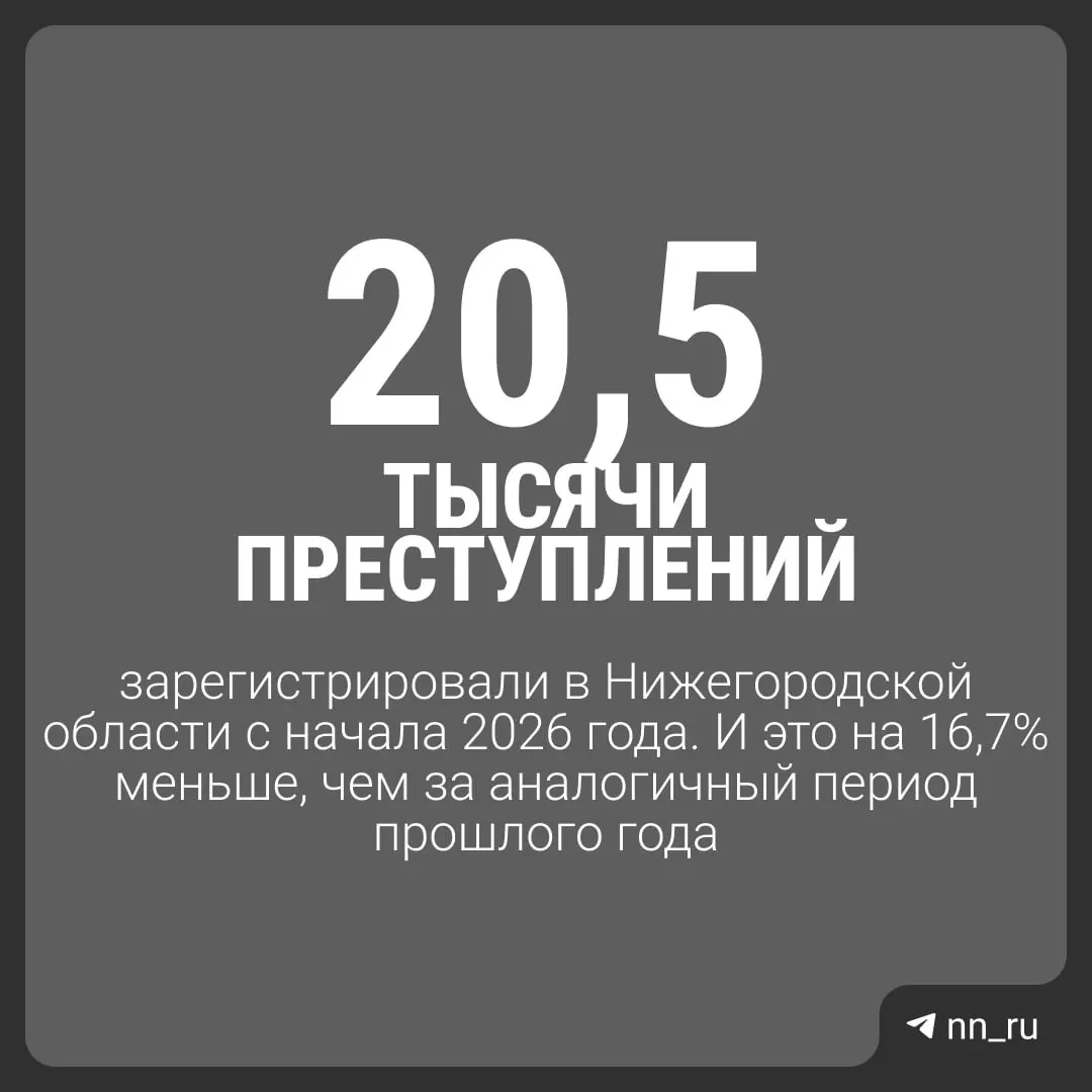 За год в регионе зафиксировано около 20,5 тысячи преступлений; отмечаются изменения по убийствам, побоям, изнасилованиям и имущественным преступлениям.