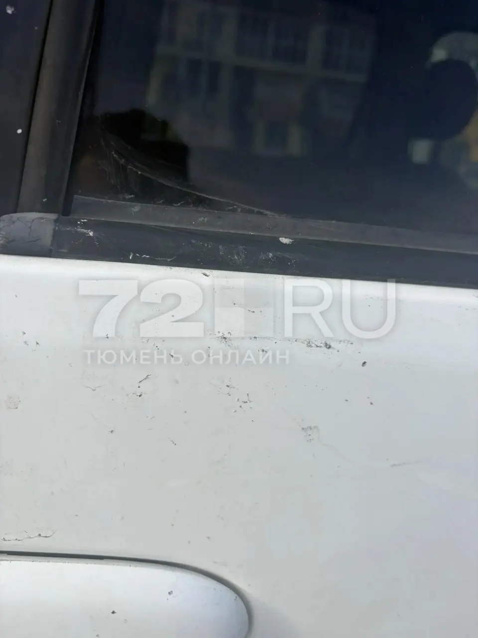 Очередной инцидент: подростки примерно по 12 лет забрасывали камни в прохожих и автомобили, на замечания реагировали агрессией; полиция проводит проверку.