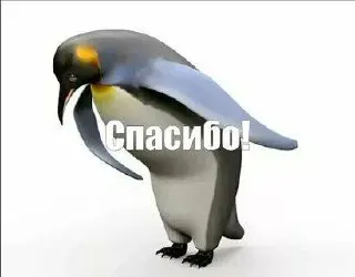 Комитет транспорта заявил, что существующий парк обеспечивает перевозки: на маршруте уже выходят 62 небольших автобуса, а в часы пик их число растет. Жителям предложили воспользоваться другими маршрутками из Среднеахтубинского района в Волгоград.