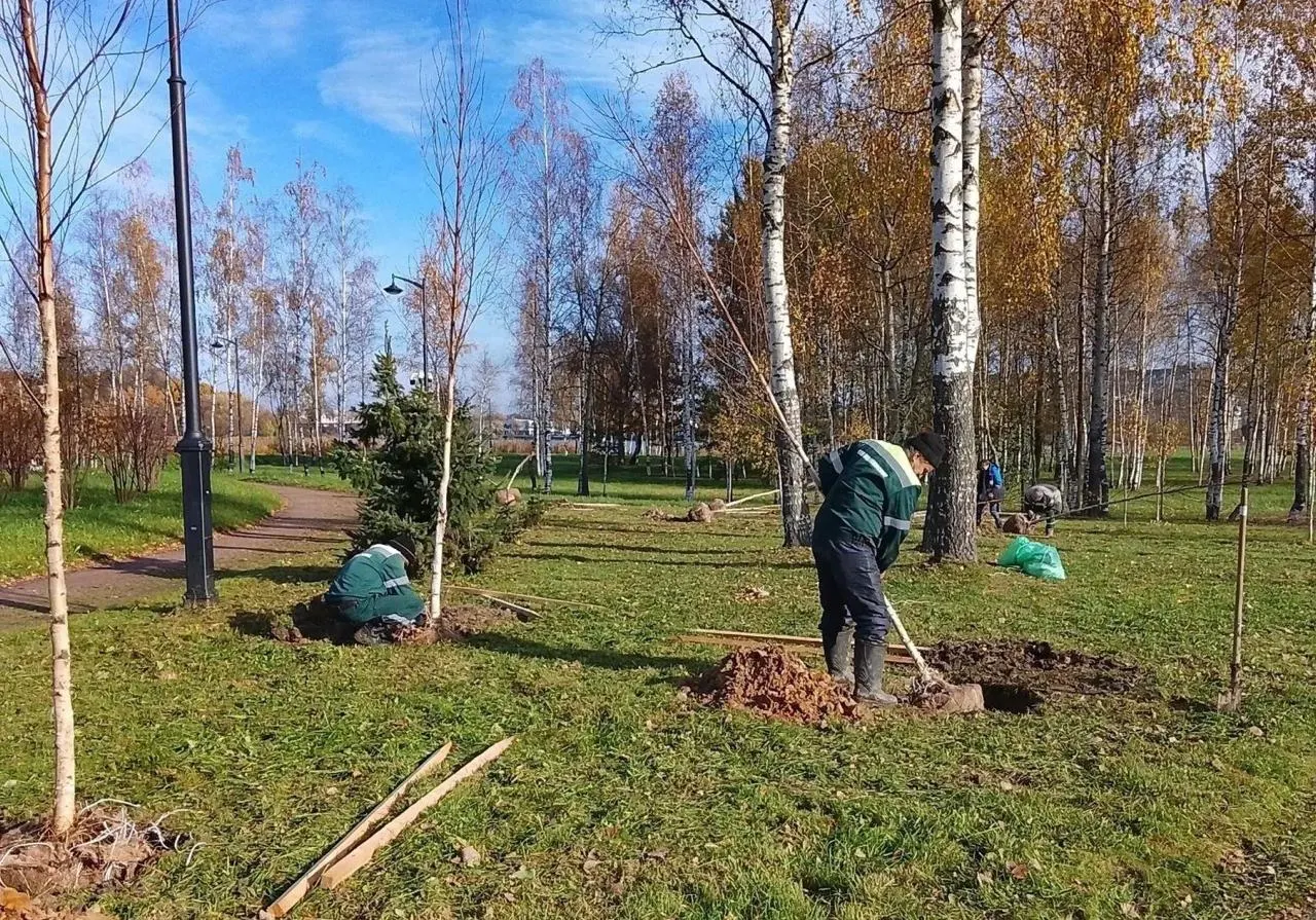 Озеленение затронуло парки, скверы и улицы города: высажены тысячи саженцев.
