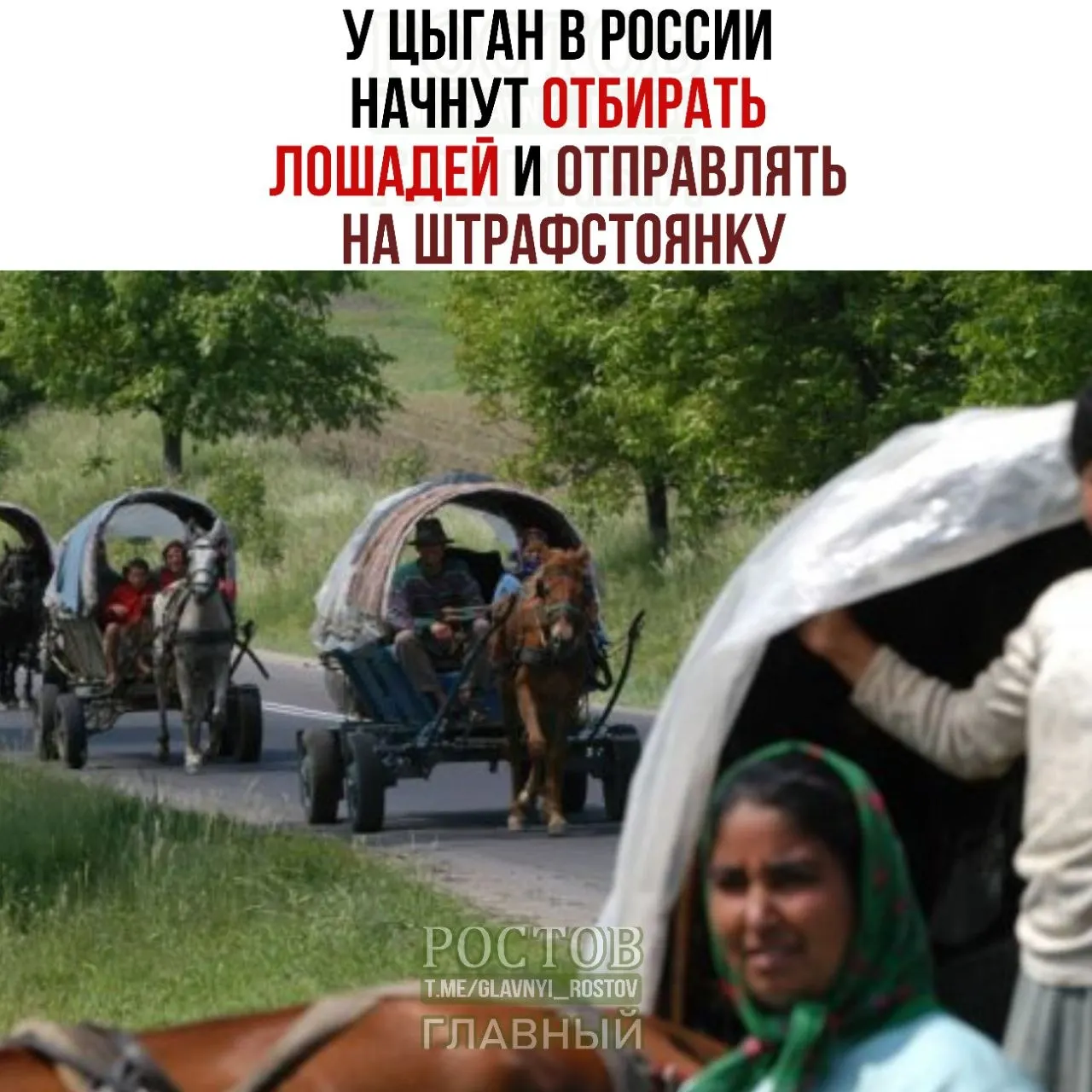 Соцсетевые публикации утверждают, что лошадей будут отбирать и отправлять на штрафстоянку; официальные лица информацию не подтверждают.