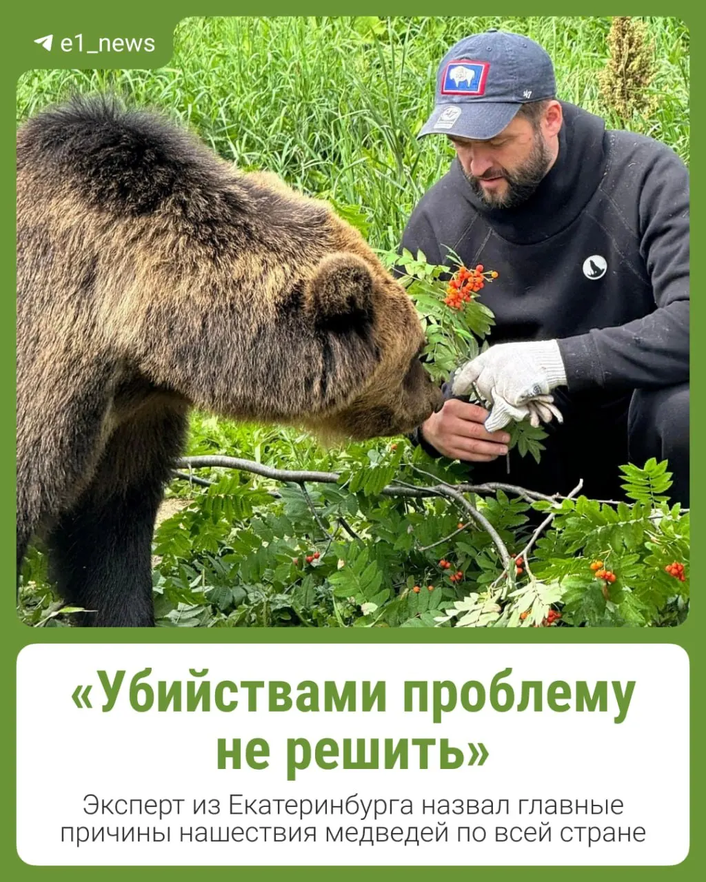 Экологи указывают, что причина конфликтов выходит за рамки простого голодания зверей, и предлагают профилактические меры и диалог вместо отстрела.