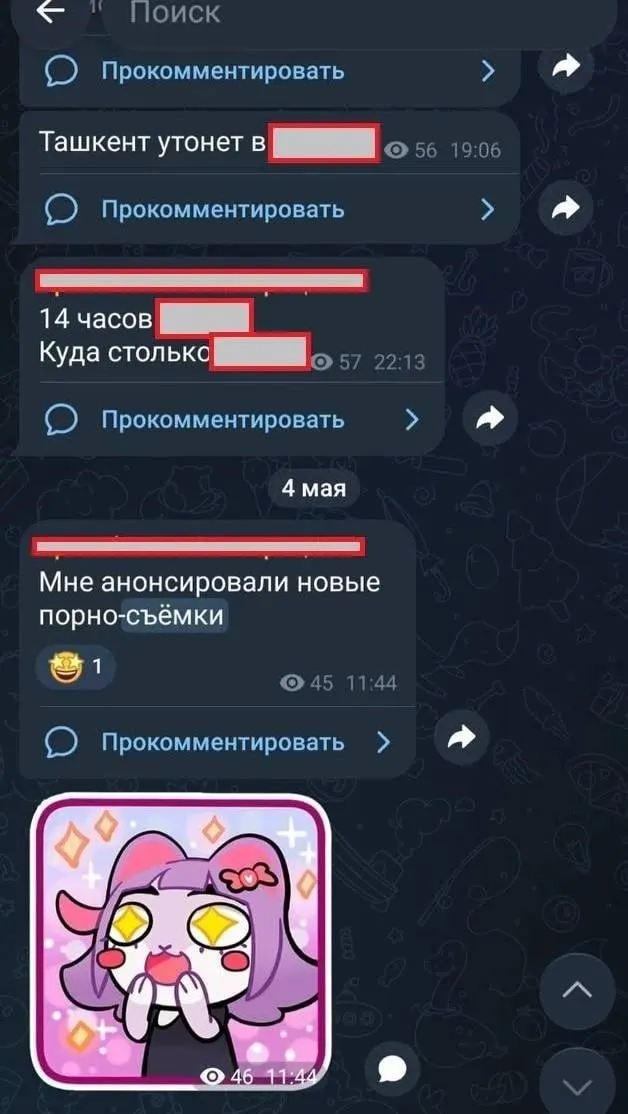 Полиция Владивостока задержала мужчину, который выдавал себя за учителя и вел Telegram-канал с оскорбительными материалами и откровенными фото учащихся; дело передано в Следственный комитет.