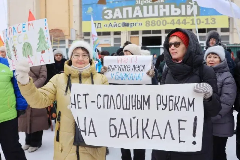За последние годы экологические организации и активисты сталкиваются с давлением правительства: запреты, иноагенты, аресты и штрафы.