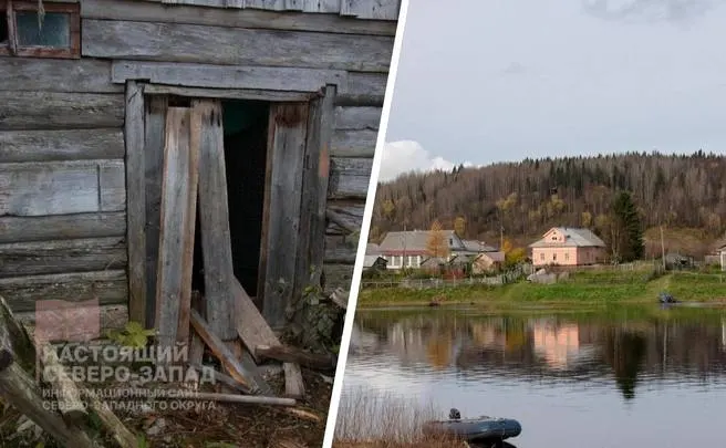 В 13 населённых пунктах региона медведи выходят к людям; прокуратура проверяет меры по защите граждан, увеличено патрулирование.