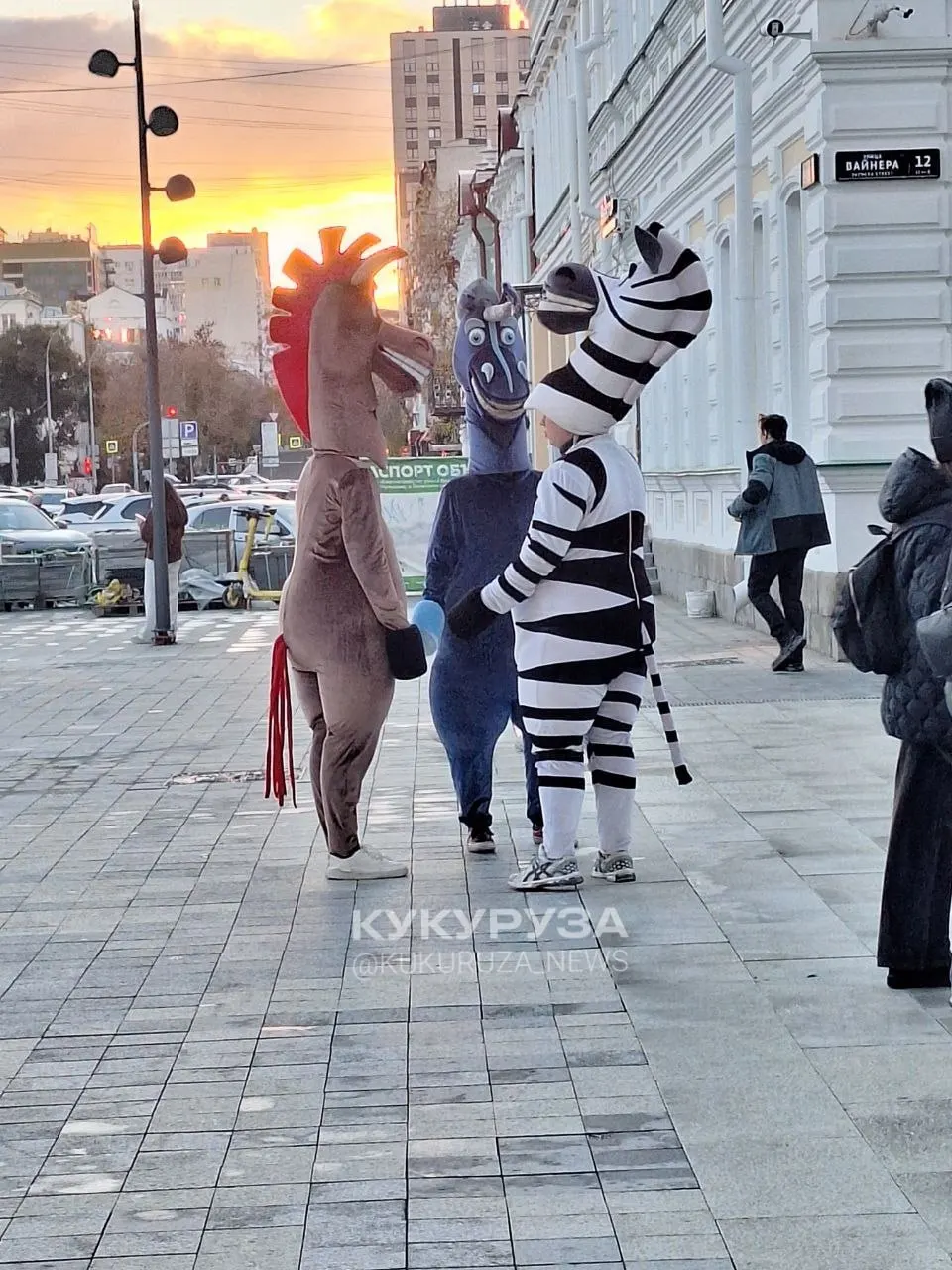 В центре города появились люди в костюмах мультяшных персонажей, которые подходят к семьям и требуют оплату за кадры; горожане обсуждают эту практику.
