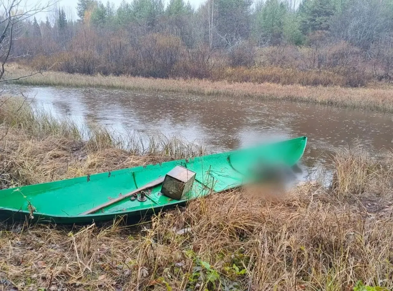В Верхнетоемском районе обнаружено тело 40-летнего рыбака; позже в Маймаксанском рукаве Северной Двины перевернулась лодка, одного мужчину спасли, другого ищут. Расследование ведут региональные следственные органы.