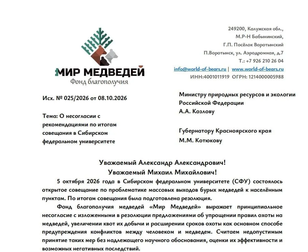 Калужский фонд «Мир медведей» призывает сохранить действующие запреты на охоту и предлагает альтернативы: уборку свалок, защитные контейнеры и электрические ограждения, а также обучение населения правилам поведения при встрече с медведями.