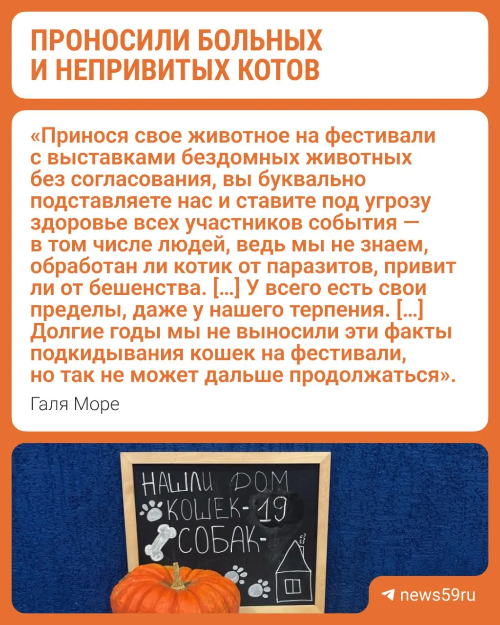 Участие в мероприятии требует прививок и согласования; нарушение правил может привести к штрафам и запрету фестивалей.