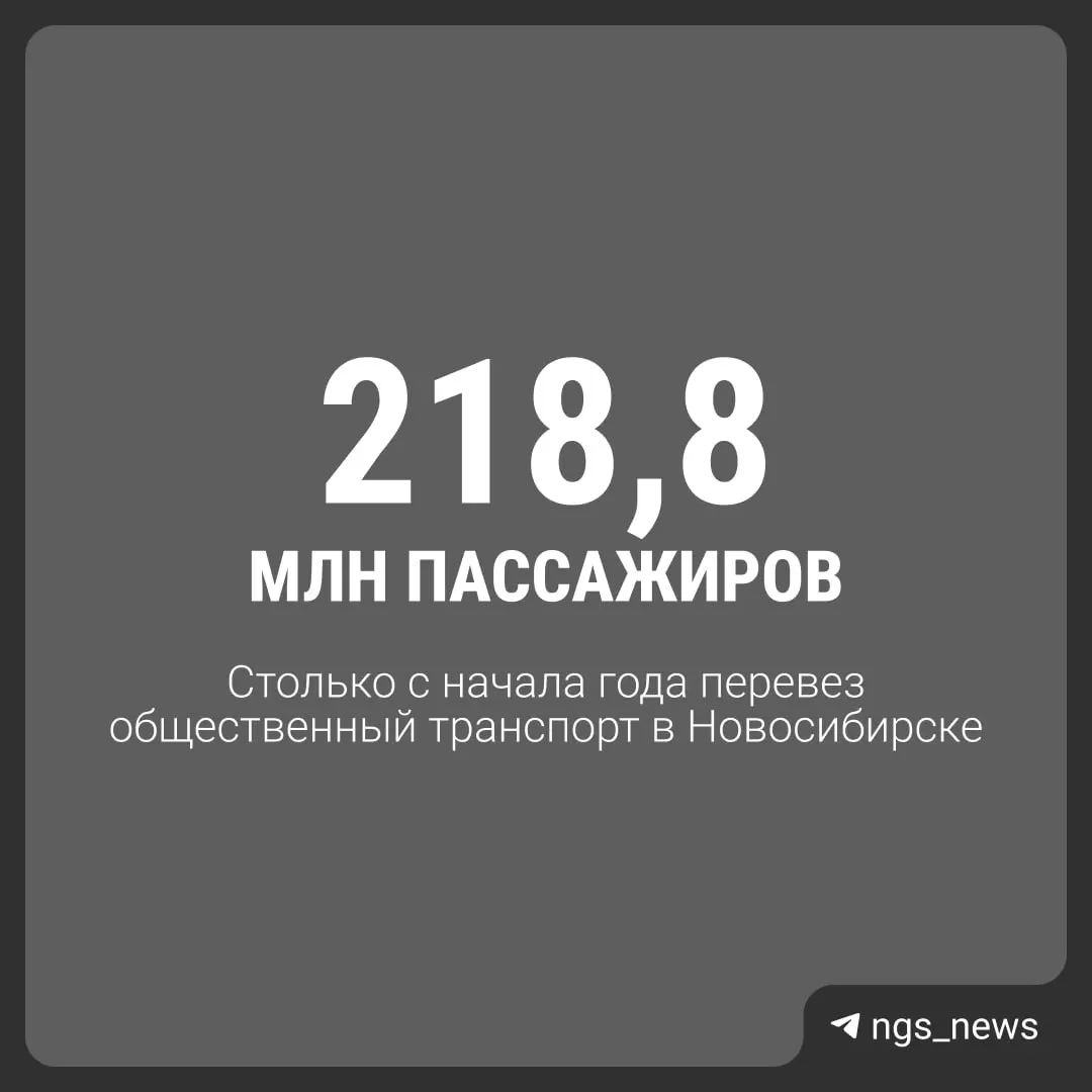 Обсуждаем популярность общественного транспорта: автобусы и маршрутки лидируют по числу поездок, метро демонстрирует значимый объём, а пешие прогулки остаются частью повседневности.