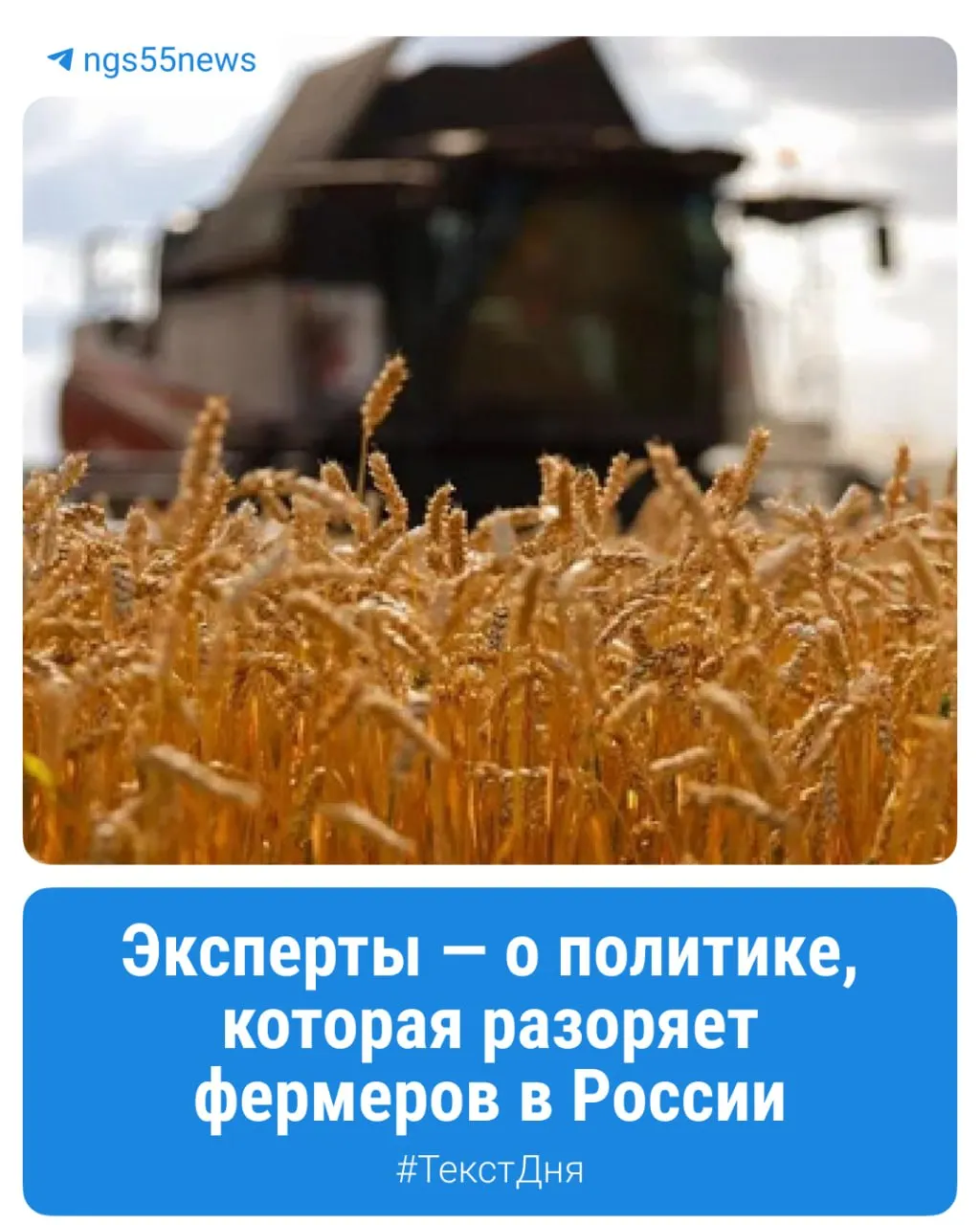 Фермеры Омской области объясняют, как падение цен на зерно сочетается с ростом затрат на топливо, запчасти и налоги, что приводит к закрытию хозяйств.