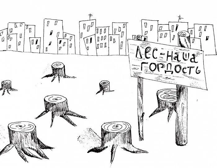После протестов жителей Железногорска власти решили вернуть лесной участок к статусу рекреационной зоны.