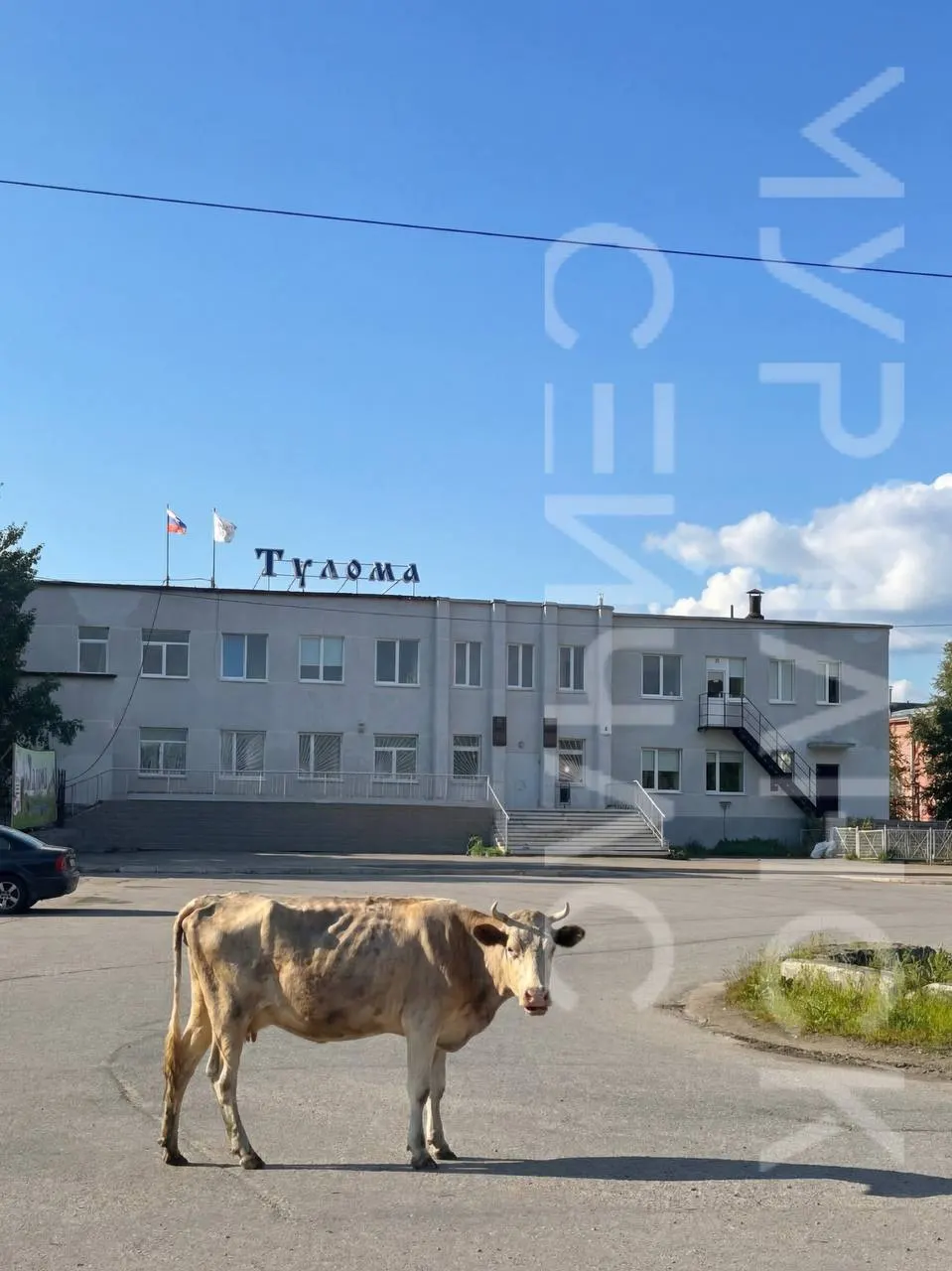 Проверка выявила системные трудности на одном из крупнейших сельскохозяйственных предприятий региона: финансовые проблемы, судебные разбирательства и крупные долги.