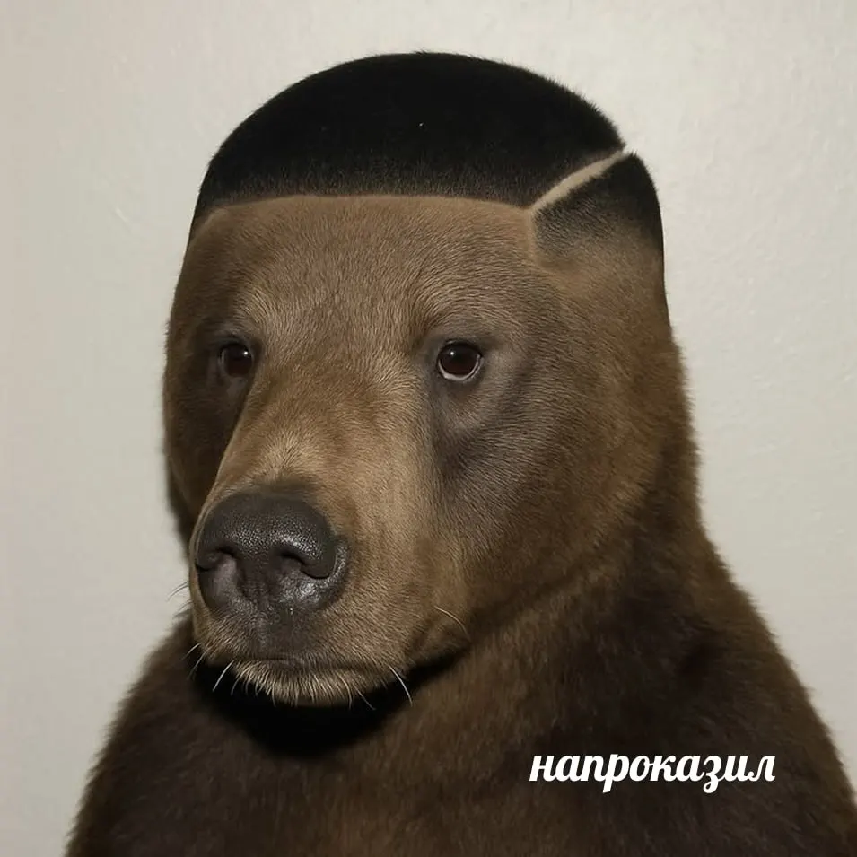 В окрестностях Азово обнаружены следы диких зверей; местные жители и власти обсуждают меры предосторожности.
