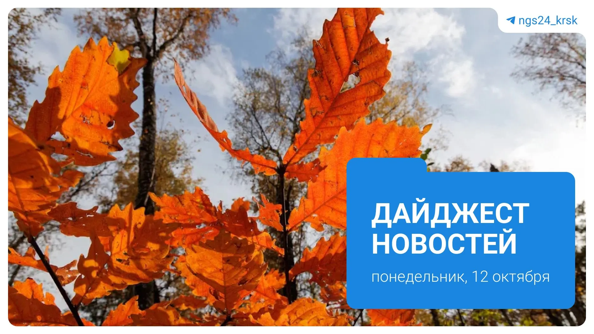 Крупные темы дня: нападение на несовершеннолетнюю в Солнечном, регулирование численности медведей, дорожная политика Красноярска, приватизация техники, подозрения в картельном сговоре на АЗС и ограничения на Столбах.