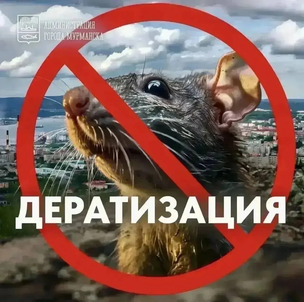 Обработки охватывают торговые центры, магазины и точки общепита, продолжаются работы в многоквартирных домах и на прилегающих территориях; выполняются в два этапа.